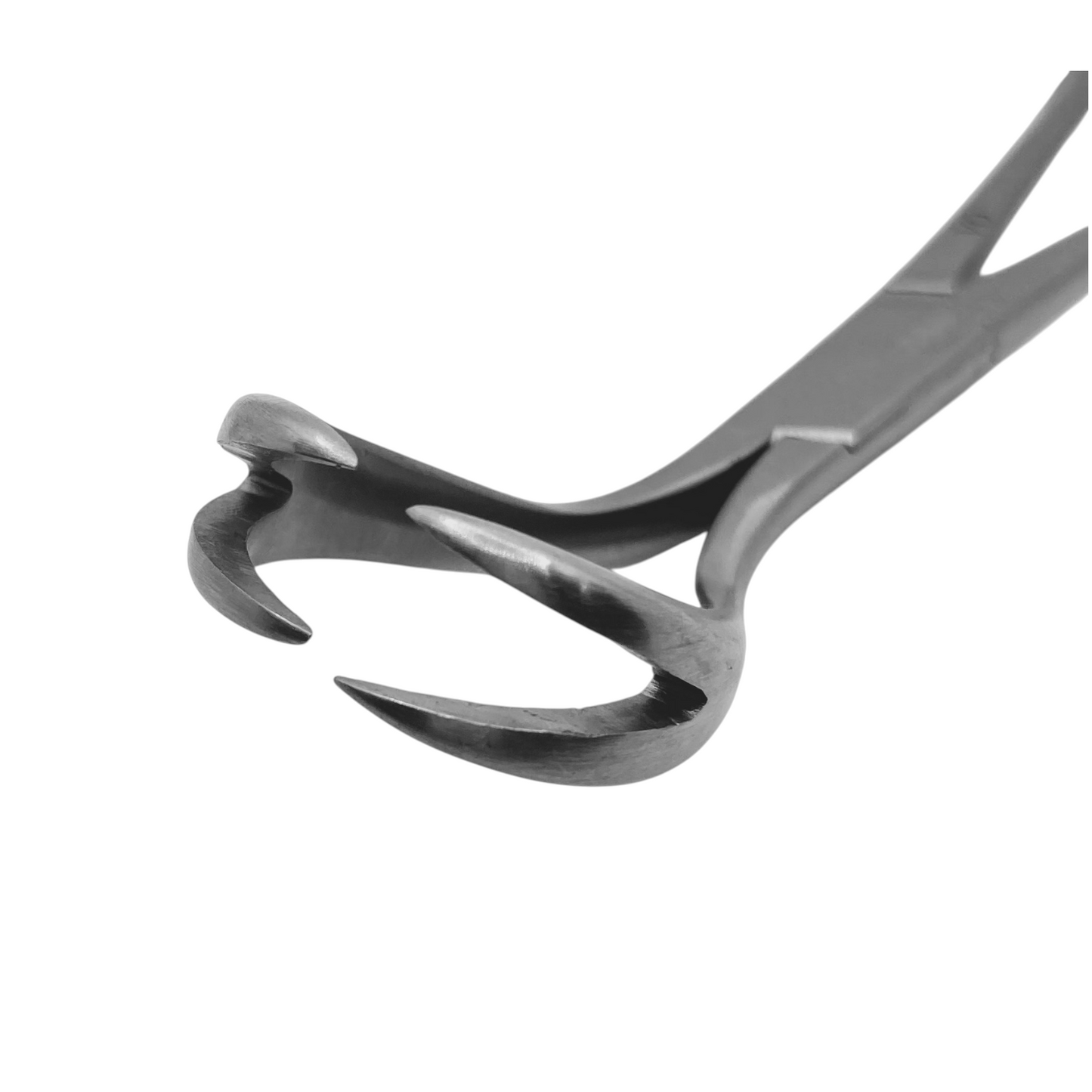 Fragment Forceps Double Point to Point - Ratchet or Spinlock