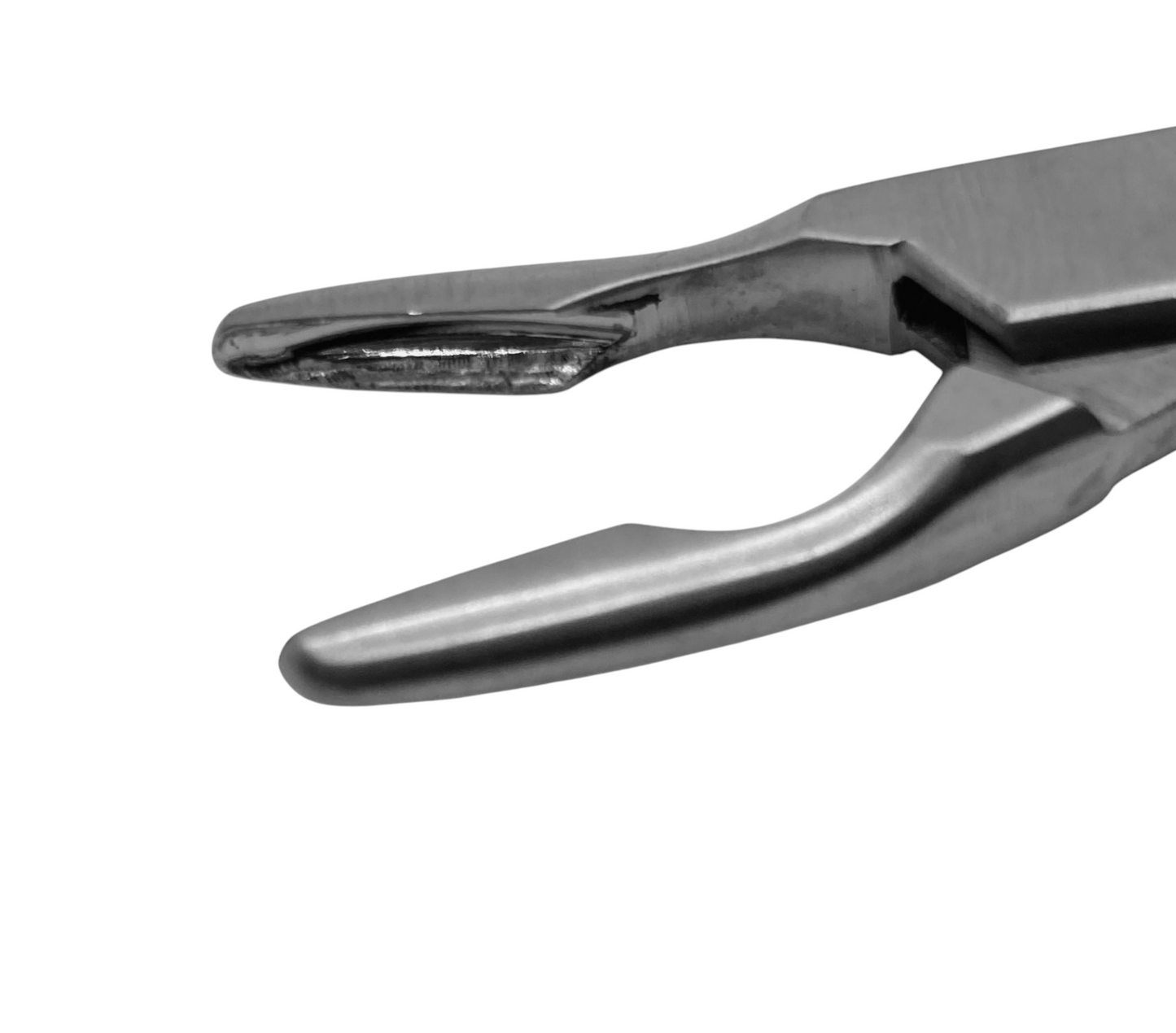 Friedman Curved Rongeurs