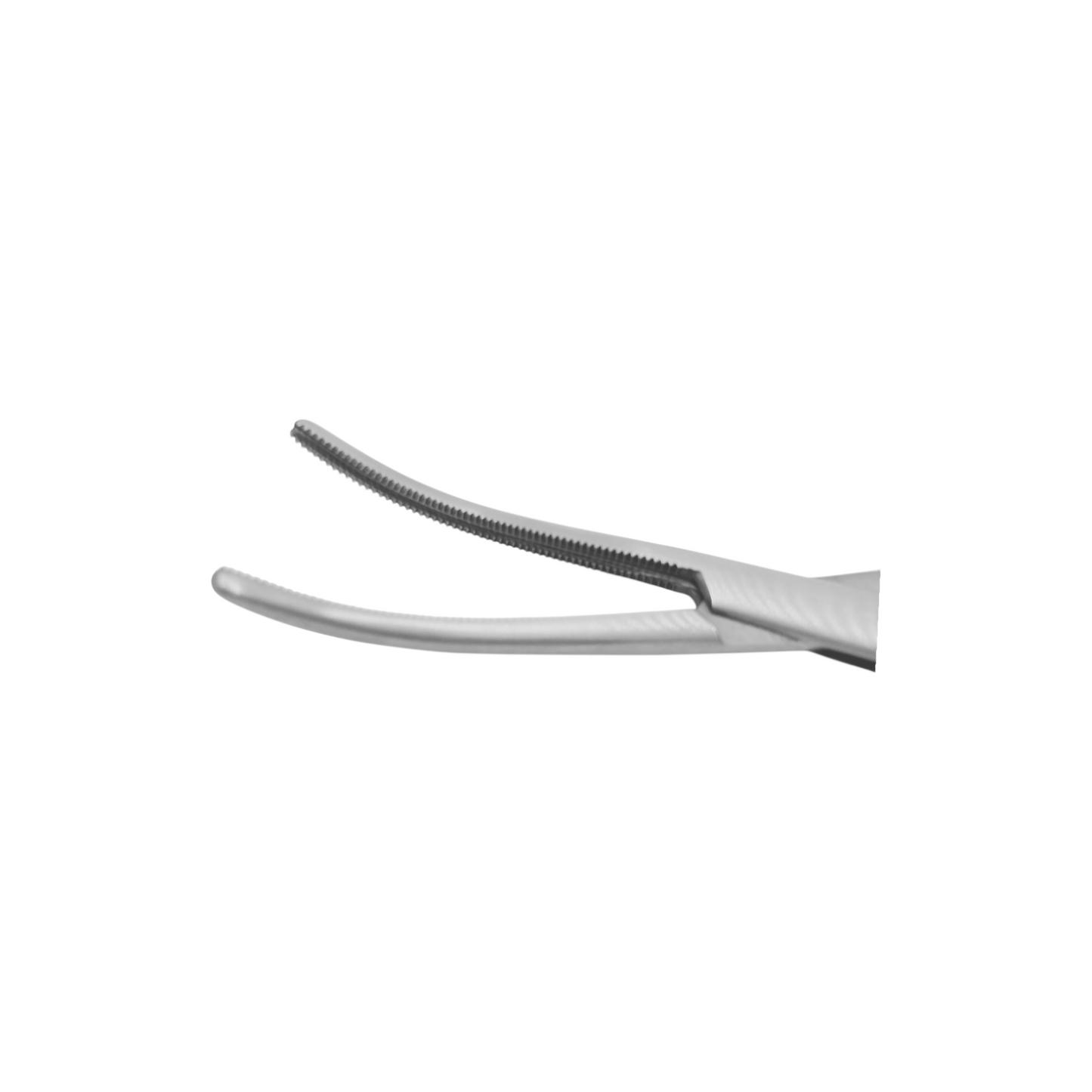 Angiotribes