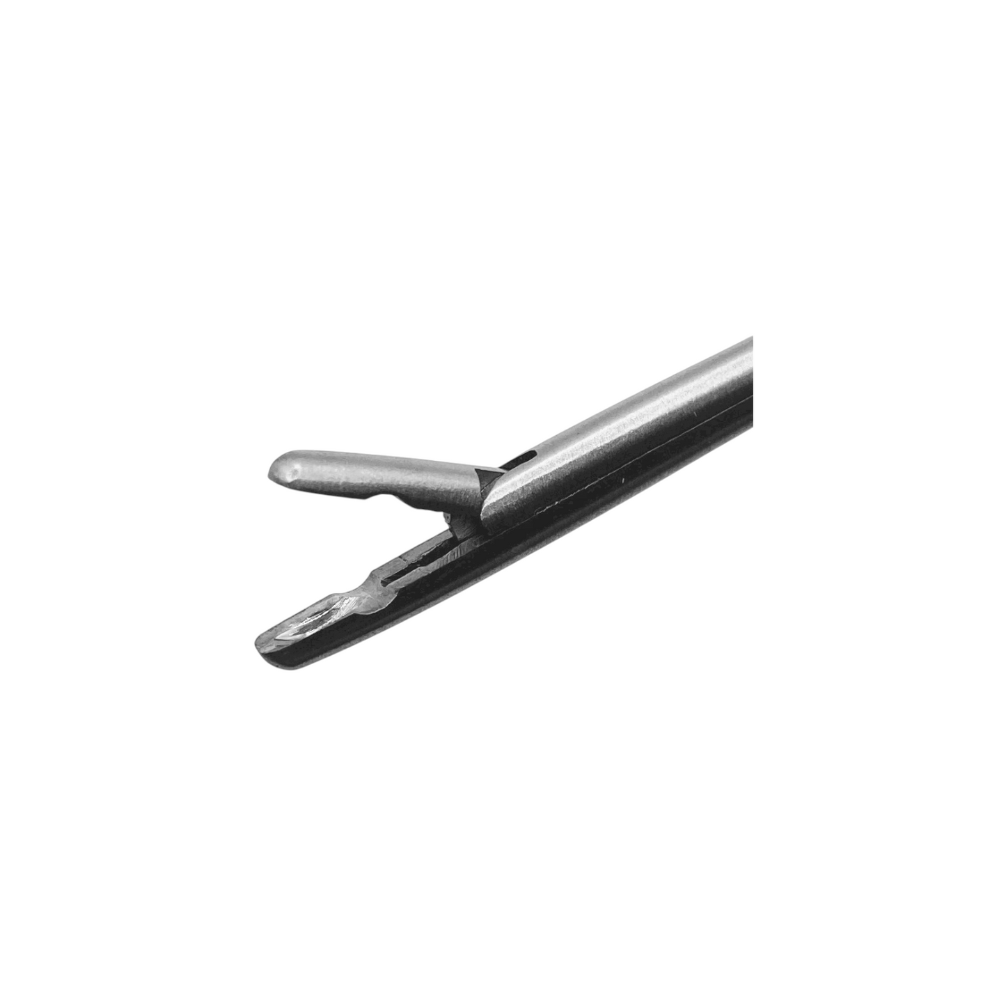 Biopsy Forceps