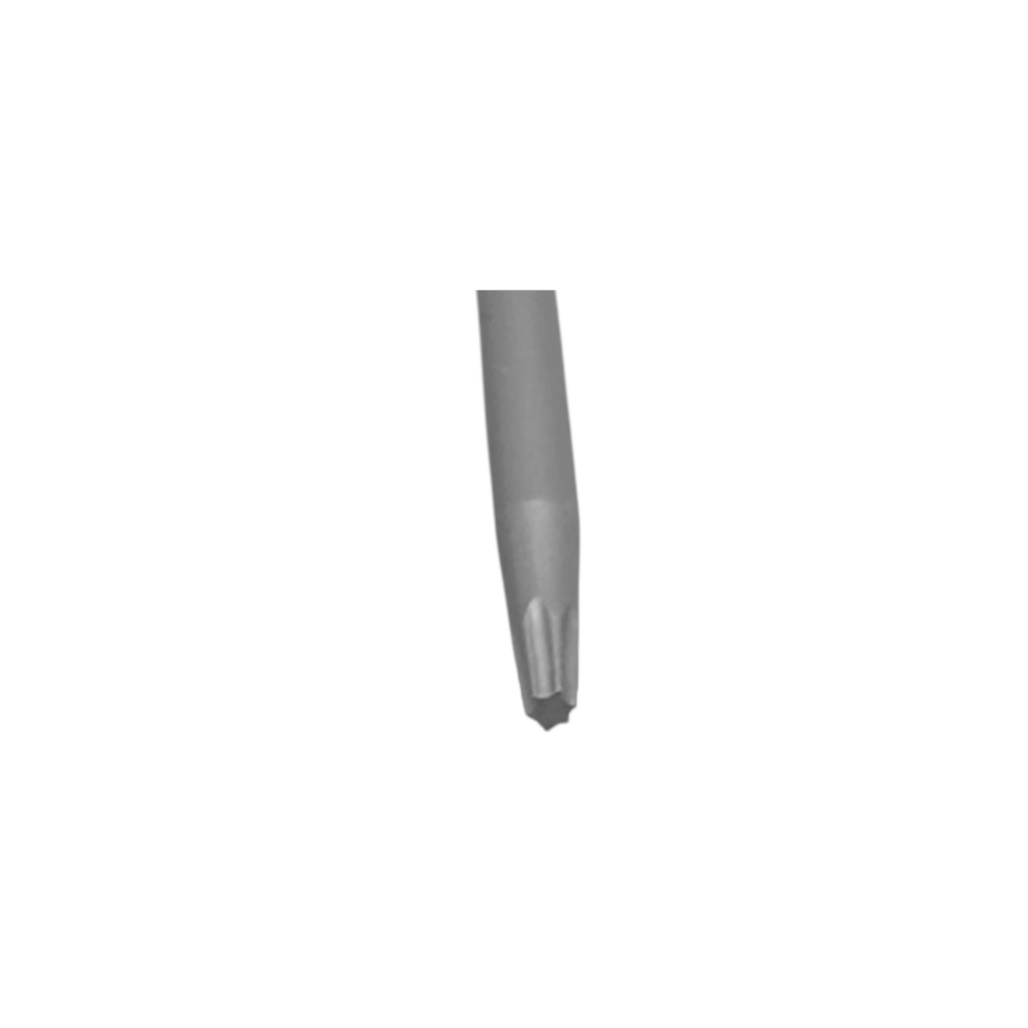 Screwdriver Insert - Star Drive - Dental Fit