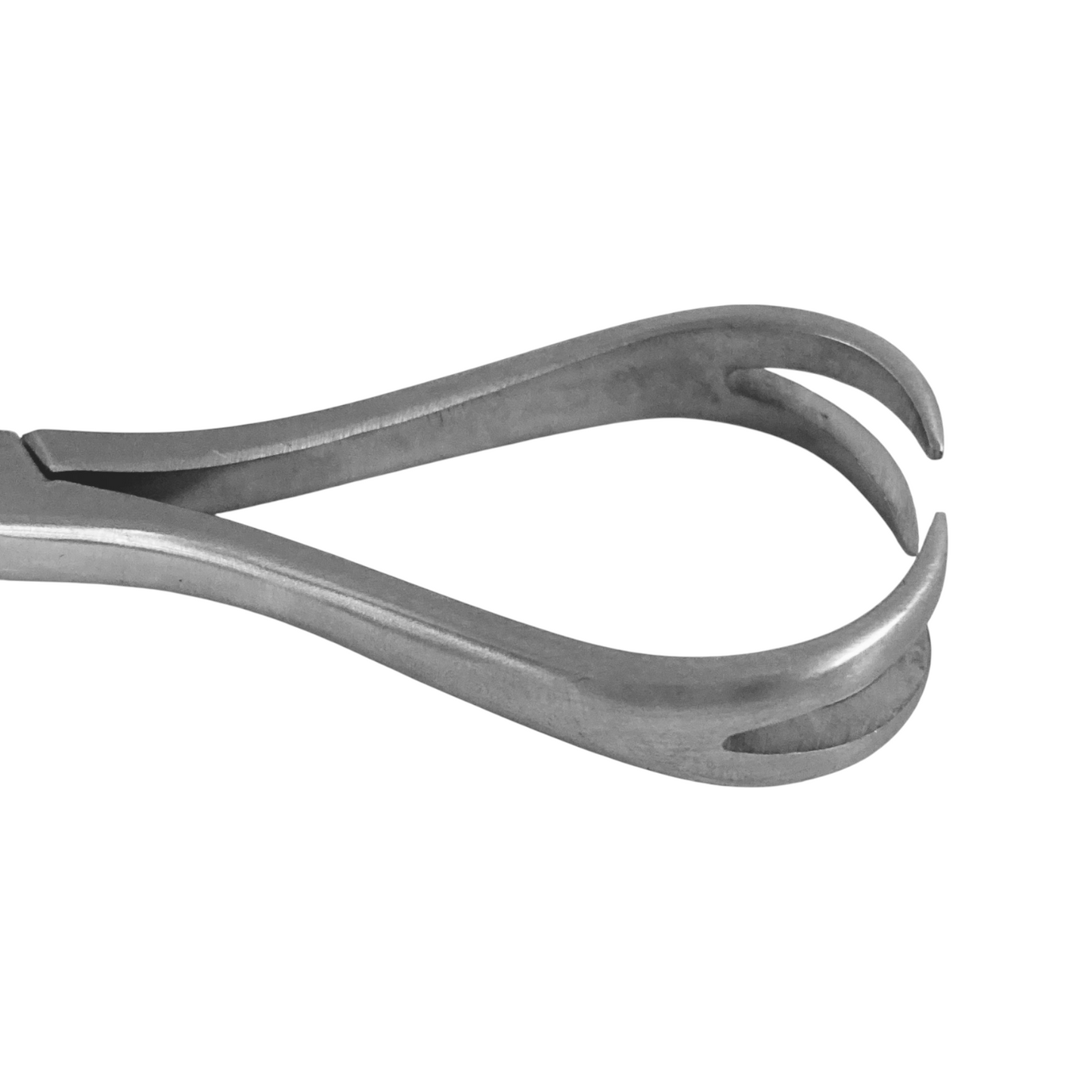 Fragment Forceps Double Point to Point - Ratchet or Spinlock