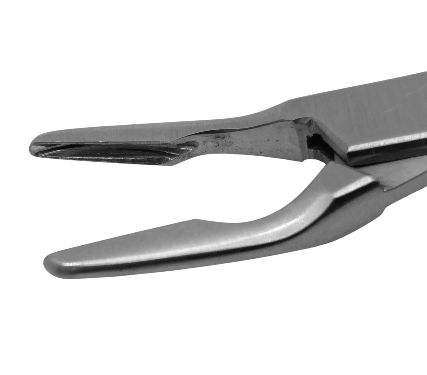 Friedman Curved Rongeurs