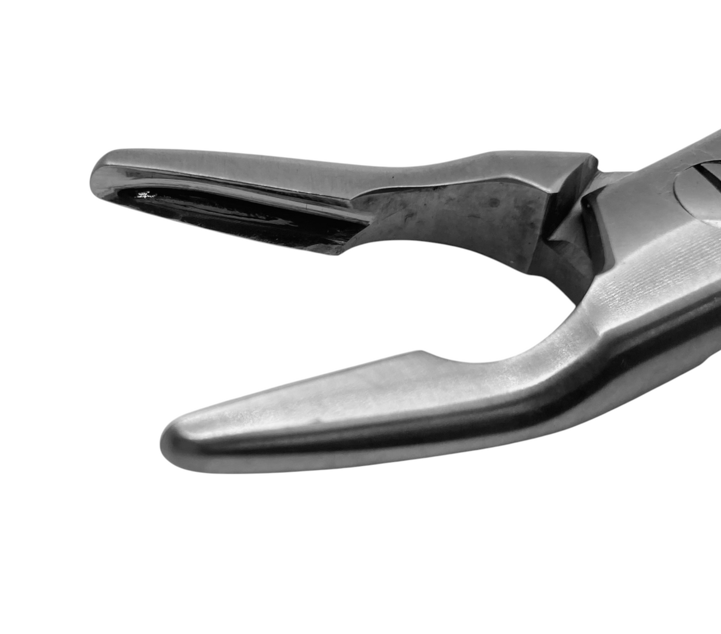 Small Curved Rongeurs - 4mm Bite