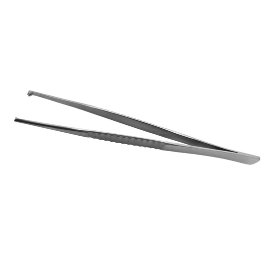 Rat Tooth Dissecting Forceps