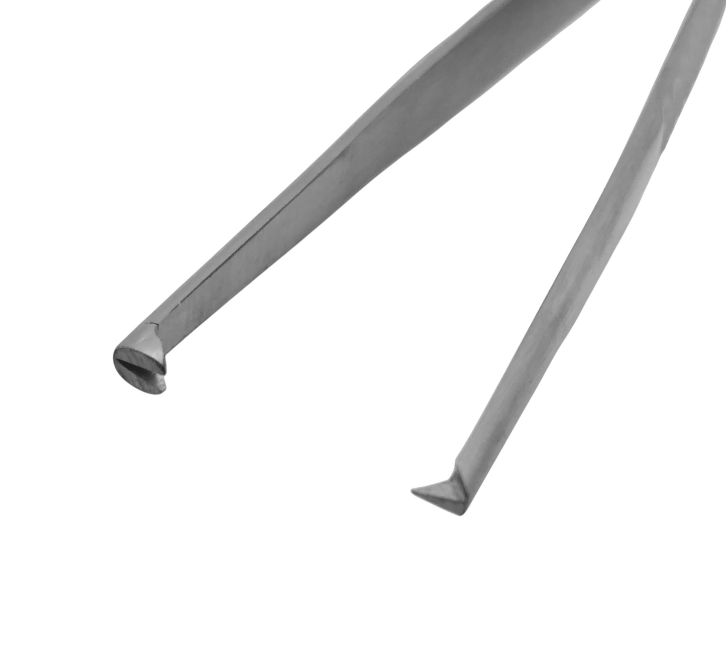 Rat Tooth Dissecting Forceps